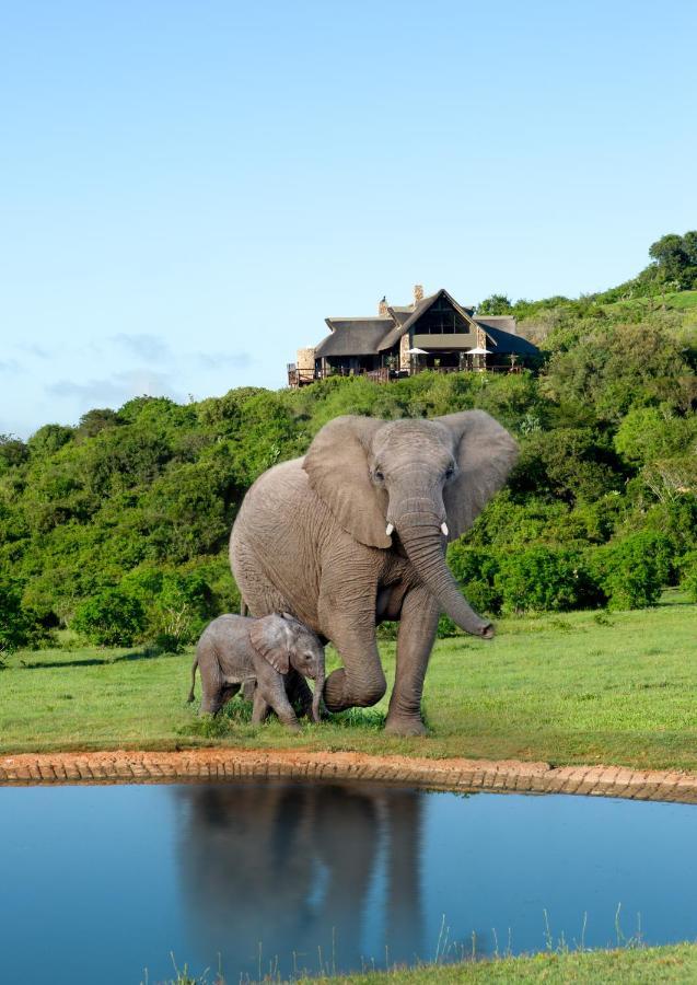 Hopewell Private Game Reserve Buyskloof Buitenkant foto