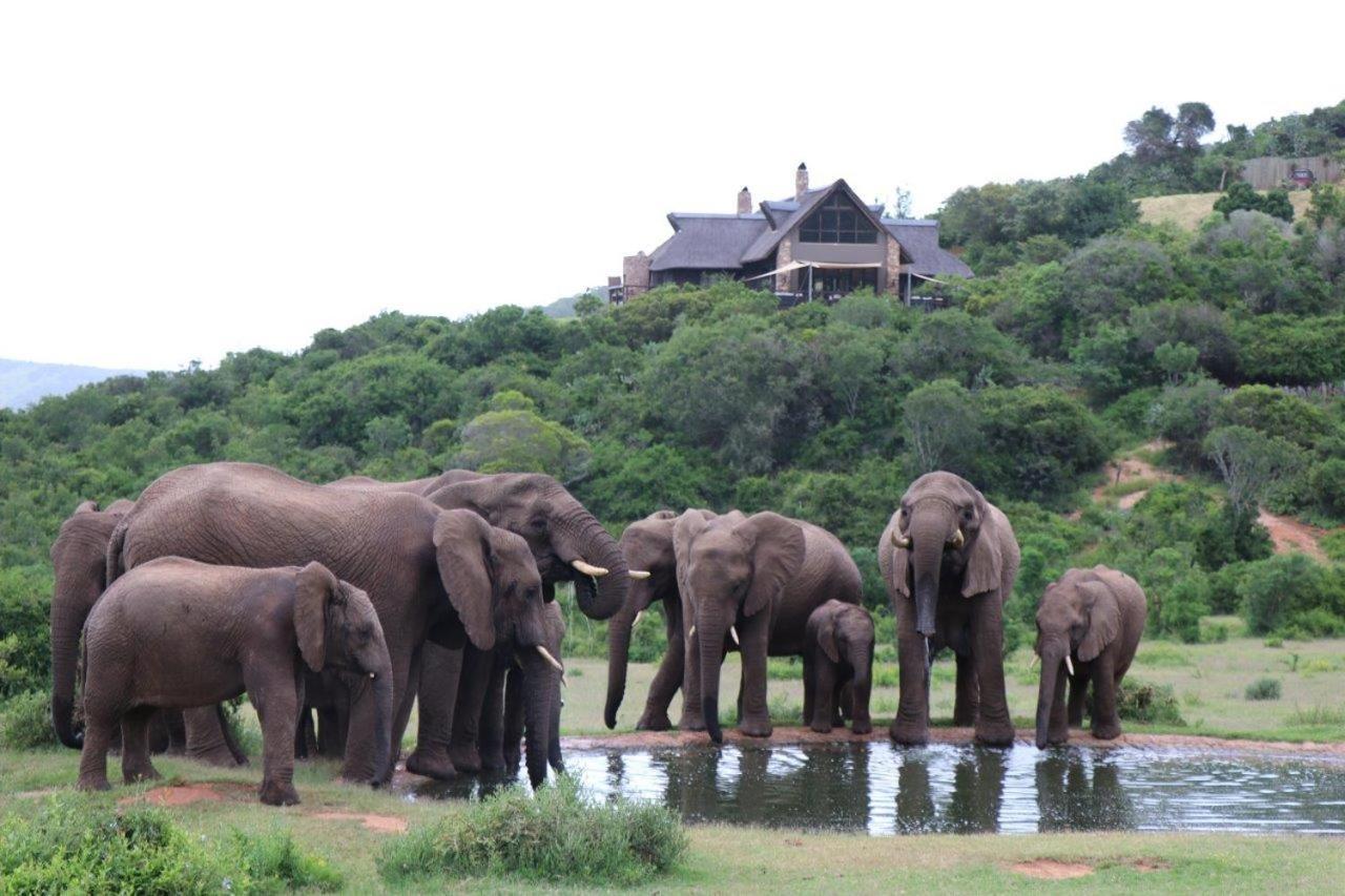 Hopewell Private Game Reserve Buyskloof Buitenkant foto