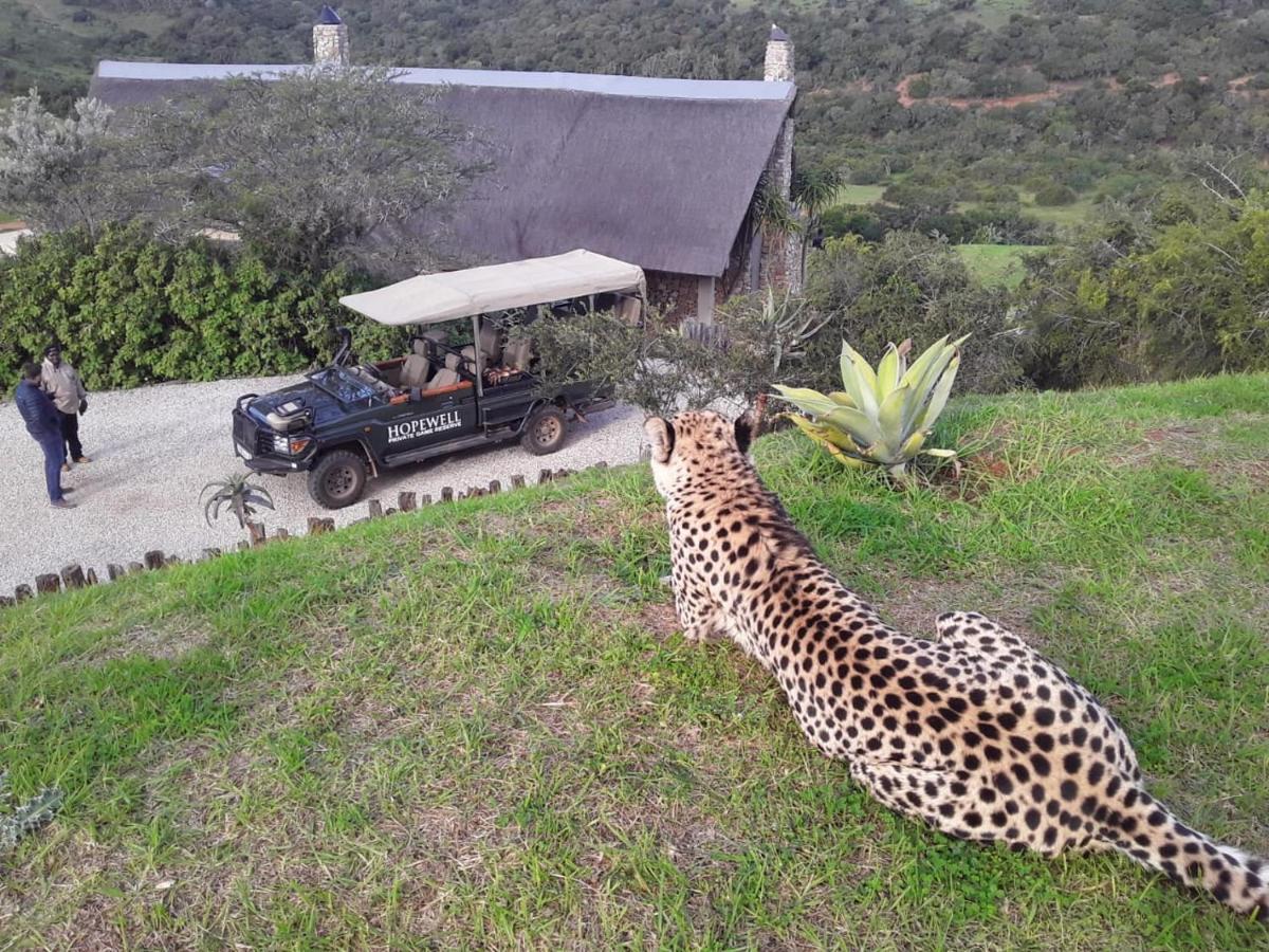Hopewell Private Game Reserve Buyskloof Buitenkant foto
